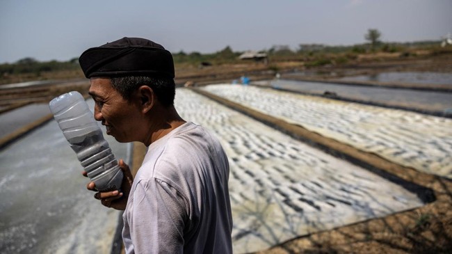Dadang Darmawan, 45, the head of a local salt farmers' group, holds his homemade ash called 'Awoe Laut' that is used for purifying the sea water in the salt-making process, at a pond in Pengarengan village, Cirebon, West Java province, Indonesia, Jul