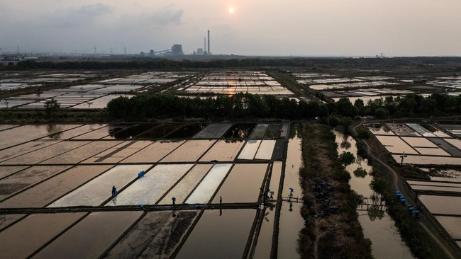 A drone view shows workers carrying sacks of freshly-harvested salt at salt ponds in Pengarengan village, Cirebon, West Java province, Indonesia, July 30, 2026. REUTERS/Willy Kurniawan