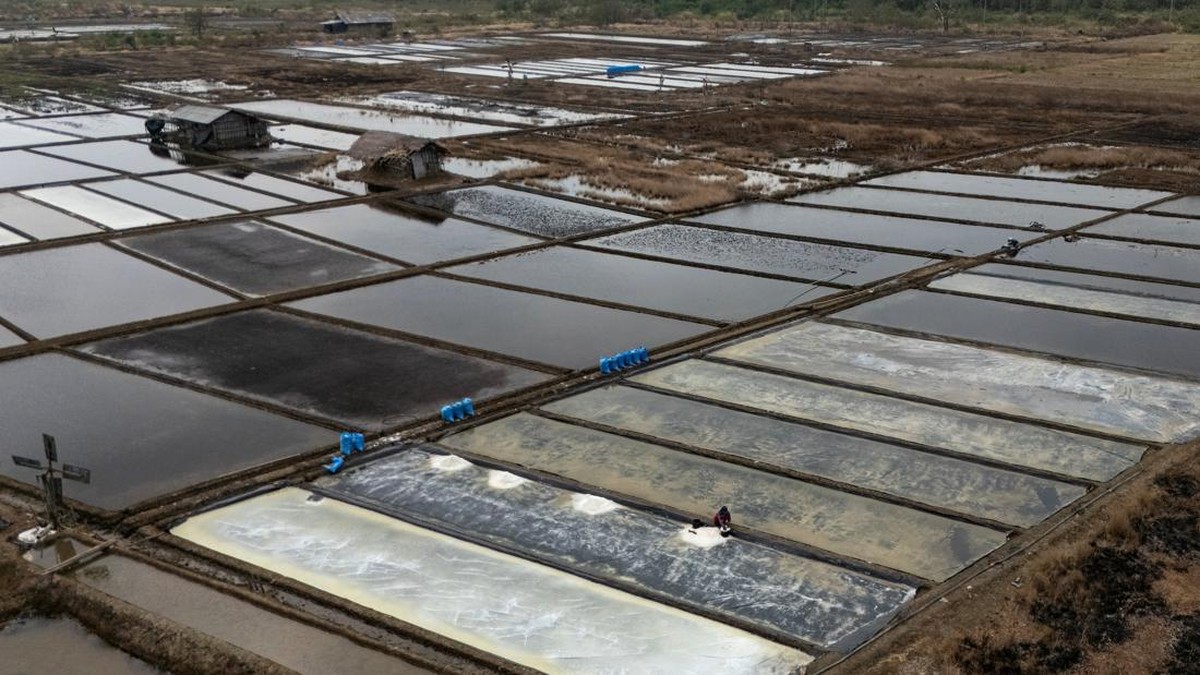 A drone view shows a farmer collecting crystallised salt from a pond floor during harvest in Pengarengan village, Cirebon, West Java province, Indonesia, July 31, 2026. REUTERS/Willy Kurniawan