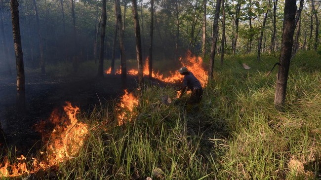 Karhutla dan Kekeringan Landa Boyolali