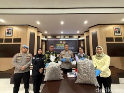 Polisi Bongkar Gudang Sisik Trenggiling di Pontianak, Sita 551 Kg Barang Bukti