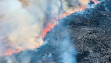 Wildfire burns 80 hectares in Indonesia's Mount Bromo tourist area