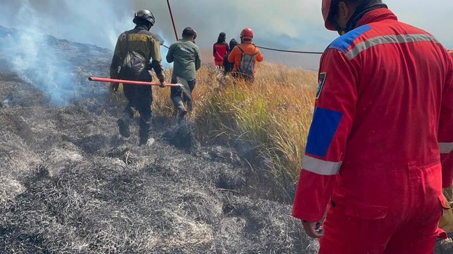 Api Bromo Mulai Loncati Lautan Pasir, Pakar Ungkap Biang Keroknya