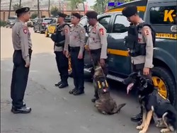 2 Anjing K9 Polri Cari Kaki Korban Mutilasi di Depok: Roby dan Dasa