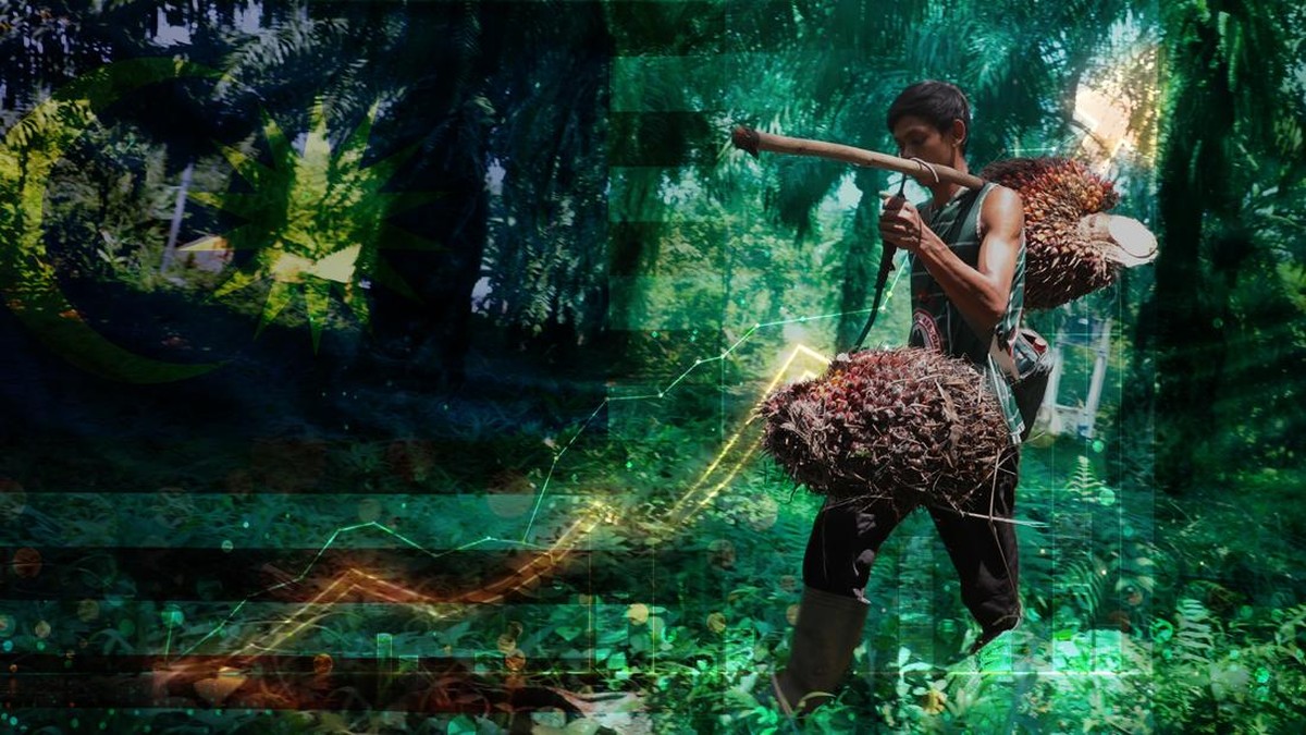 Dulu Raja Sawit Dunia, Negara Ini Kini Berguru ke Malaysia