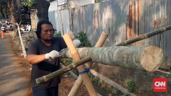 Menjelang peringatan Hari Ulang Tahun (HUT) ke-81 Republik Indonesia, perajin pohon pinang musiman di Kota Tangerang, Banten, mulai kebanjiran pesanan. Meningkatnya permintaan pohon pinang untuk perlombaan panjat pinang membawa berkah tersendiri bagi