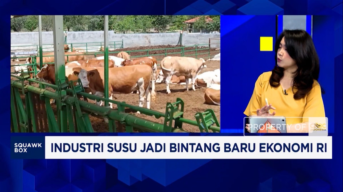 Video: Kebutuhan Susu Melonjak Imbas MBG, Tapi Sayang 75% Masih Impor