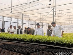 Menhut Resmikan Sriwijaya Kemampo, Perkuat Jaringan Persemaian Nasional
