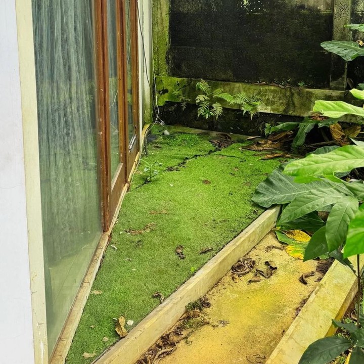 <p>Rumah baru ini juga memiliki area taman, yang ditumbuhi rumput dan tanaman hijau. Area ini tampaknya belum dirapikan oleh Poppy karena masih dipenuhi dedaunan yang gugur. (Foto: Instagram @popsovia)</p>