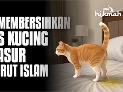 Tips Membersihkan Pipis Kucing di Kasur Menurut Islam