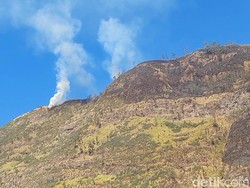 TNBTS Tunggu Api Kebakaran Bromo Padam Sebelum Mulai Investigasi
