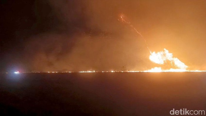 Kebakaran Bromo makin meluas