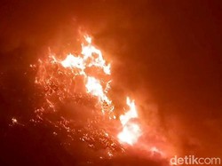 Awal Mula Kebakaran Bromo yang Meluas hingga Kini Ditutup Total