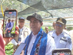 Mentan Turun Tangan Bikin Harga Beras di Alor Jadi Rp 13.000/Kg