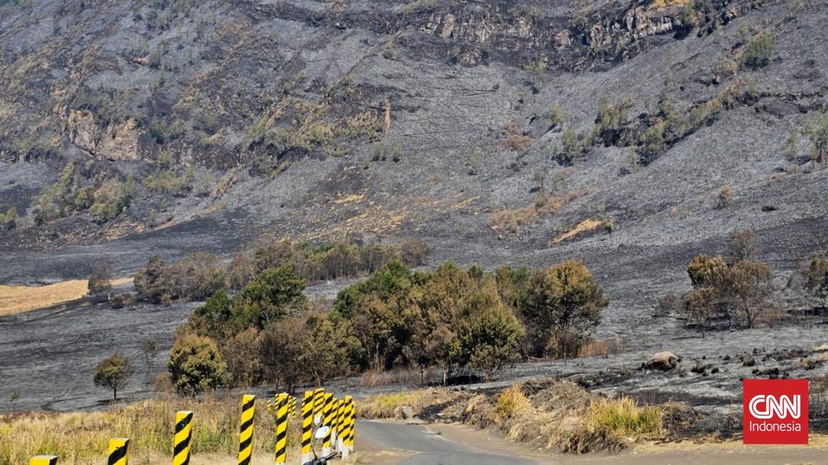 Savana Gunung Bromo Menghitam Akibat Kebakaran