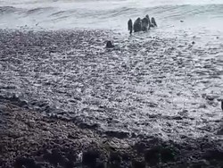 Duh! Sungai di Pati Bau Busuk-Menghitam Diduga Tercemar Limbah