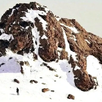Tes Kepribadian: Anjing atau Gunung yang Pertama Kamu Lihat? Ini Artinya...