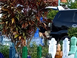 Viral Diduga Pelangsir Kencing BBM di Kuburan Pangkalan Bun