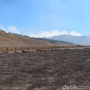 Sederet Fakta Kebakaran Bromo yang Perlu Kamu Tahu, Penyebab hingga Kawasan yang Ditutup