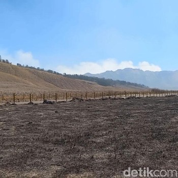 Sederet Fakta Kebakaran Bromo yang Perlu Kamu Tahu, Penyebab hingga Kawasan yang Ditutup