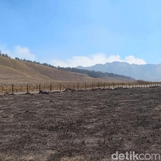 Sederet Fakta Kebakaran Bromo yang Perlu Kamu Tahu, Penyebab hingga Kawasan yang Ditutup