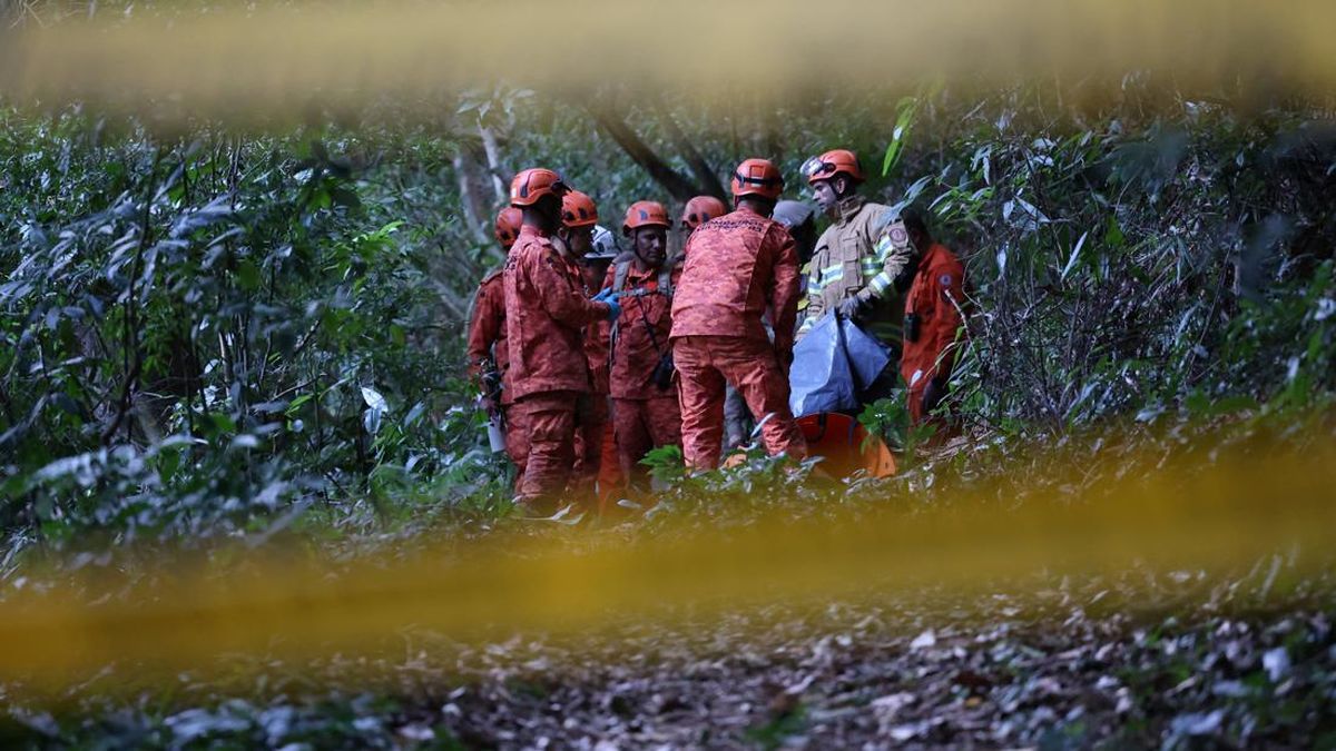 FOTO: Momen Evakuasi Heli Jatuh di Hutan Brasil Tewaskan 4 Orang