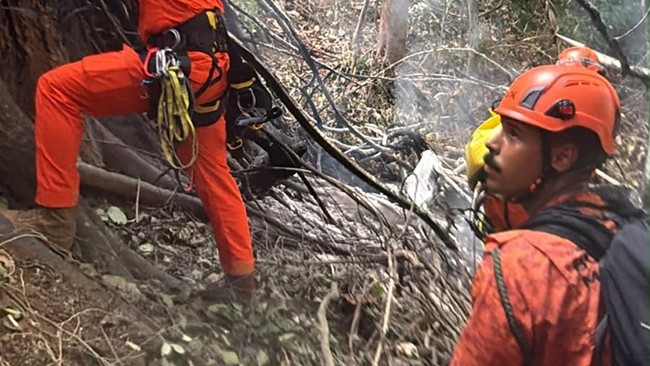 Handout picture released by the Rio de Janeiro Fire Departament showing firefighters working to put out a fire after a helicopter fell, killing four people, at the Tijuca National Park in Rio de Janeiro, Brazil, on August 8, 2026. (Photo by Handout /