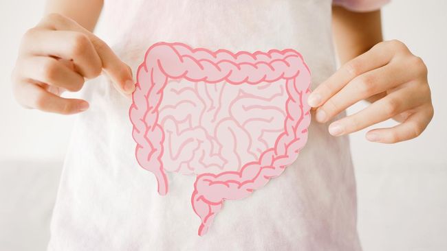 Apa Itu Sinbiotik? Kenali Manfaatnya untuk Kesehatan Pencernaan dan Daya Tahan Tubuh Anak
