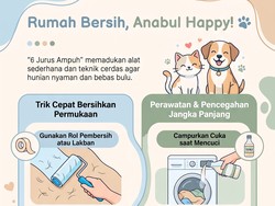 7 Jurus Ampuh Jaga Rumah Bebas dari Bulu Hewan Peliharaan