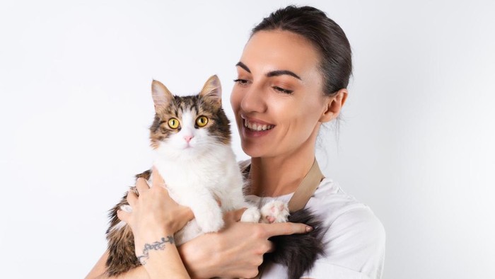 5 Ciri Kepribadian Pencinta Kucing yang Perlu Kamu Ketahui