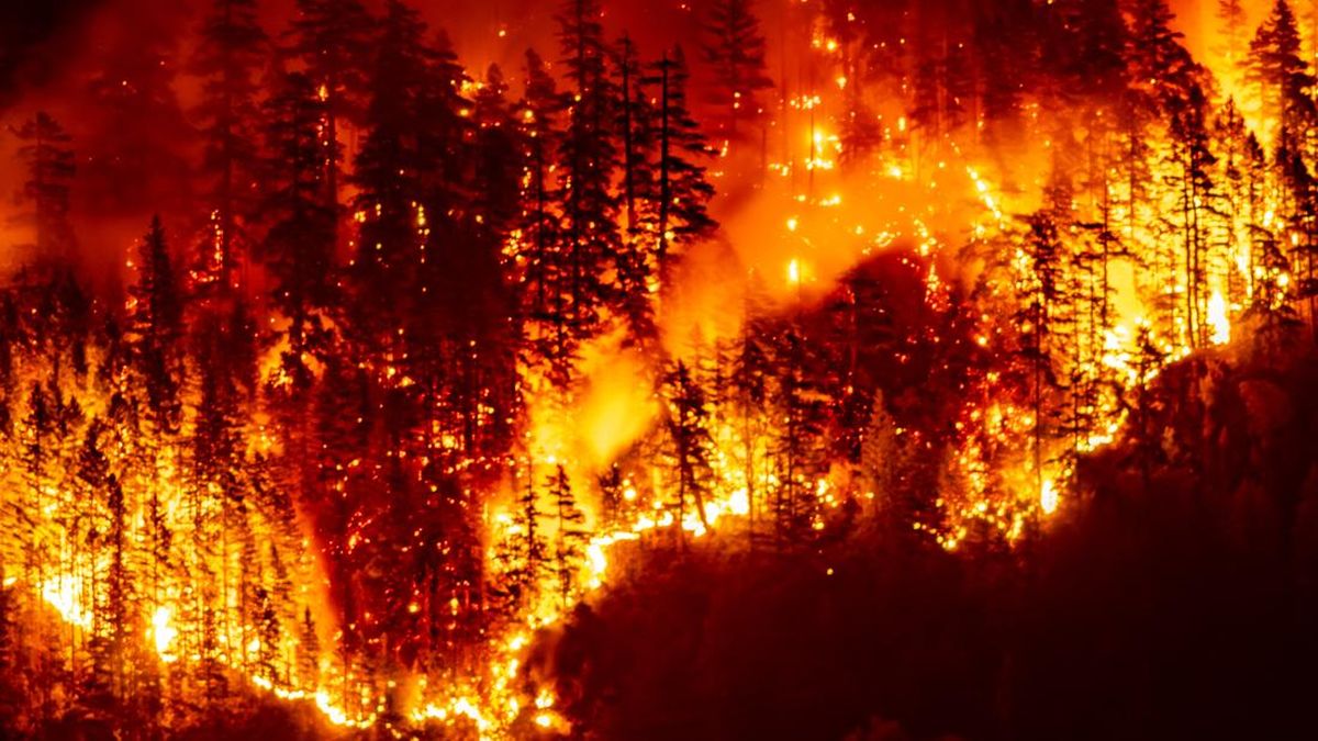 Kebakaran Hutan di Kanada, 20 Ribu Orang Dievakuasi