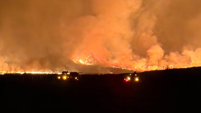 Balai Besar Taman Nasional Bromo Tengger Semeru (BB TNBTS) resmi menutup total seluruh akses masuk kawasan wisata Gunung Bromo. Keputusan ini diambil menyusul kejadian kebakaran hutan dan lahan (karhutla) yang semakin meluas di area Kaldera Bromo.