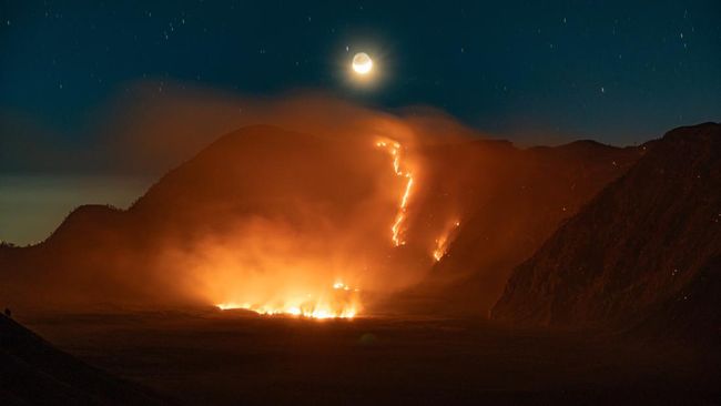 Asap dan kobaran api terlihat di kawasan Taman Nasional Bromo Tengger Semeru (TNBTS), Kabupaten Probolinggo, Jawa Timur, Minggu (9/8/2026) dini hari. Kebakaran hutan dan lahan tersebut meluas hingga diperkirakan mencapai 176 hektare akibat hembusan a
