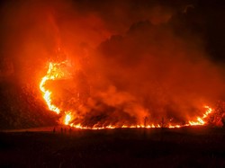 8 Fakta Kebakaran Bromo: Api Meluas, Wisata Ditutup Total hingga Water Bombing
