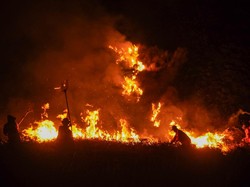 Luas Karhutla Bromo Nyaris 900 Hektare, Masih Ada Api yang Menyala!