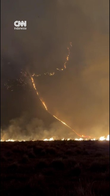 Kebakaran hutan dan lahan kian meluas di area Kaldera Bromo pada Minggu (9/8).