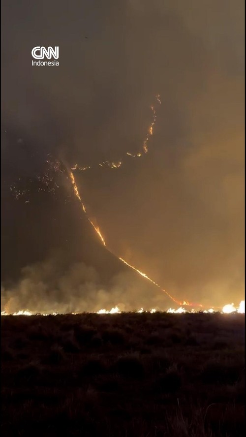 Kebakaran hutan dan lahan kian meluas di area Kaldera Bromo pada Minggu (9/8).