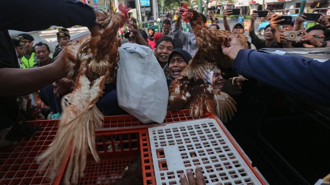 Peternak ayam petelur yang tergabung dalam Paguyuban Peternak Petelur Yogyakarta (P3Y) membagikan ayam petelur secara gratis kepada warga di kawasan Malioboro, Yogyakarta, Senin (10/8/2026). P3Y membagikan sekitar 1.200 ayam petelur kepada warga seba