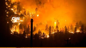 Api Lahap Hutan Bald Range, 20 Ribu Warga Dievakuasi