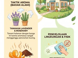 Infografis: Jurus Jitu Usir Kucing Liar biar Nggak BAB Sembarangan di Rumah