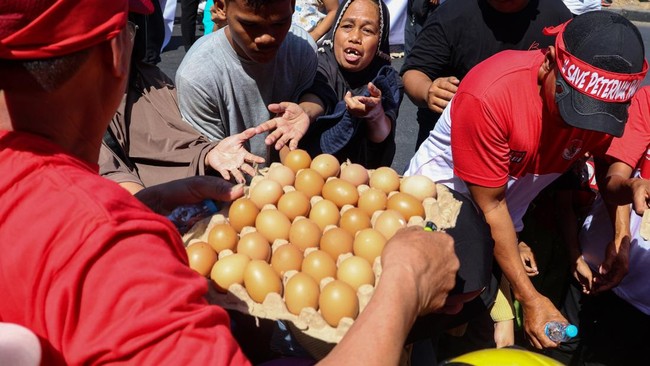 Warga berebut telur yang dibagikan saat aksi damai Peternak Rakyat Sulawesi di depan kantor Gubernur Sulawesi Selatan, Makassar, Sulawesi Selatan, Senin (10/8/2026). Aksi bagi-bagi telur dan ayam tersebut sebagai bentuk protes terhadap tingginya harg