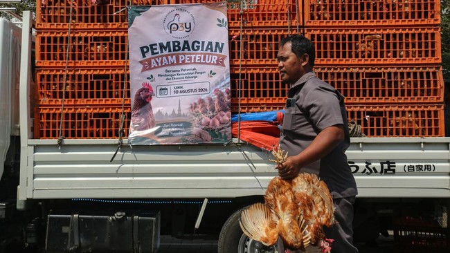 Warga membawa ayam petelur yang dibagikan gratis oleh
peternak ayam petelur yang tergabung dalam Paguyuban Peternak Petelur Yogyakarta (P3Y) di kawasan Malioboro, Yogyakarta, Senin (10/8/2026). P3Y membagikan sekitar 1.200 ayam petelur kepada warga