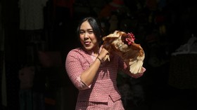 Warga menunjukkan ayam petelur yang dibagikan gratis oleh peternak ayam petelur yang tergabung dalam Paguyuban Peternak Petelur Yogyakarta (P3Y) di kawasan Malioboro, Yogyakarta, Senin (10/8/2026). P3Y membagikan sekitar 1.200 ayam petelur kepada war