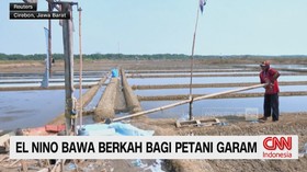 El Nino Bawa Berkah Bagi Petani Garam
