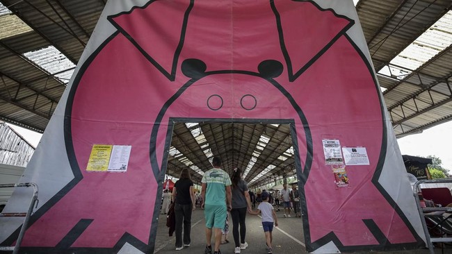 People arrive at the 43rd edition of the Pig Festival, where the French pig-squealing championship is held, in Trie-sur-BaÔse, south-western France, on August 9, 2026. (Photo by Valentine CHAPUIS / AFP)