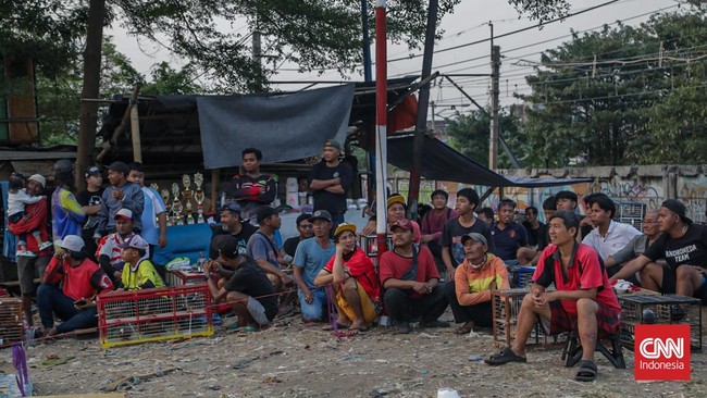 Kompetisi merpati kolong terlihat dalam Liga Cacing di Lapak Tanggul City, Tanah Abang, Jakarta, pada Minggu (9/8).