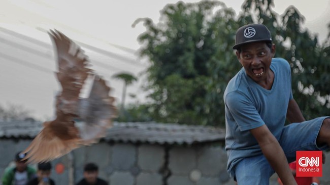 Kompetisi merpati kolong terlihat dalam Liga Cacing di Lapak Tanggul City, Tanah Abang, Jakarta, pada Minggu (9/8).