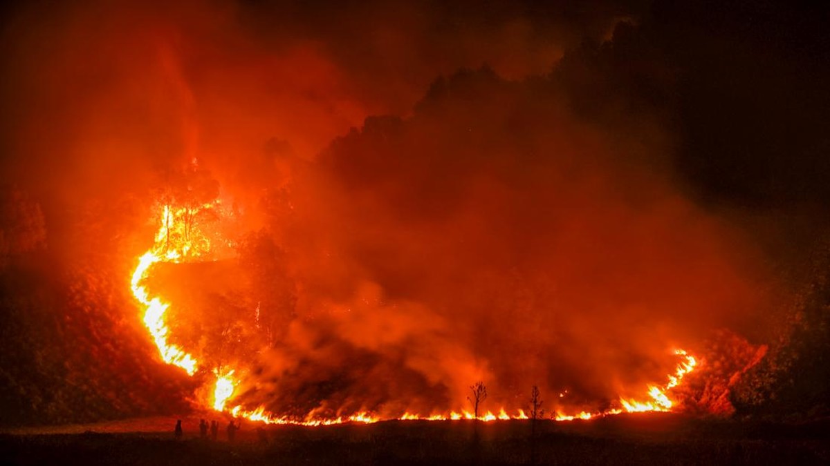 Petugas memantau kebakaran hutan di kawasan Taman Nasional Bromo Tengger Semeru (TNBTS), Kabupaten Pasuruan, Jawa Timur, Minggu (9/8/2026). Balai Besar Taman Nasional Bromo Tengger Semeru (TNBTS) mencatat luas area terdampak kebakaran di kawasan Gunu