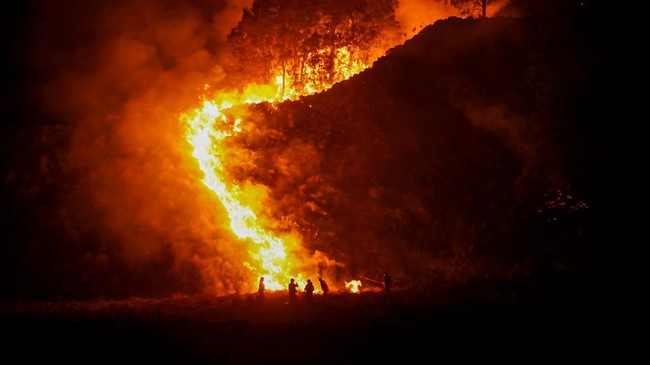 Petugas gabungan memantau kebakaran hutan di kawasan Taman Nasional Bromo Tengger Semeru (TNBTS), Kabupaten Pasuruan, Jawa Timur, Minggu (9/8/2026). Balai Besar Taman Nasional Bromo Tengger Semeru (TNBTS) mencatat luas area terdampak kebakaran di kaw