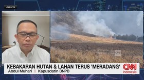 Kebakaran Hutan & Lahan Terus 'Meradang'